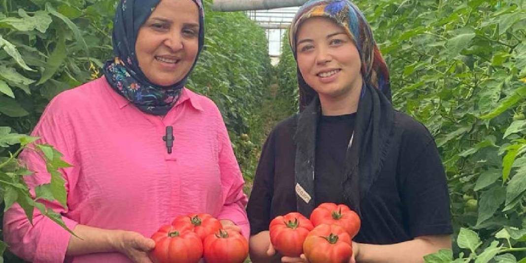 Üretimde aktif kadın eli! 550.000 ton ürün bekleniyor 5